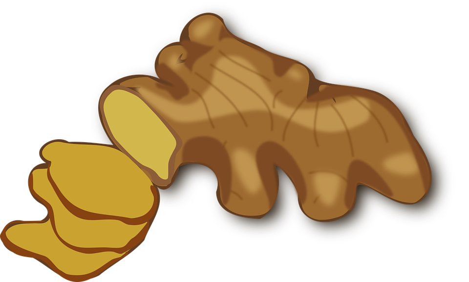 zazvor